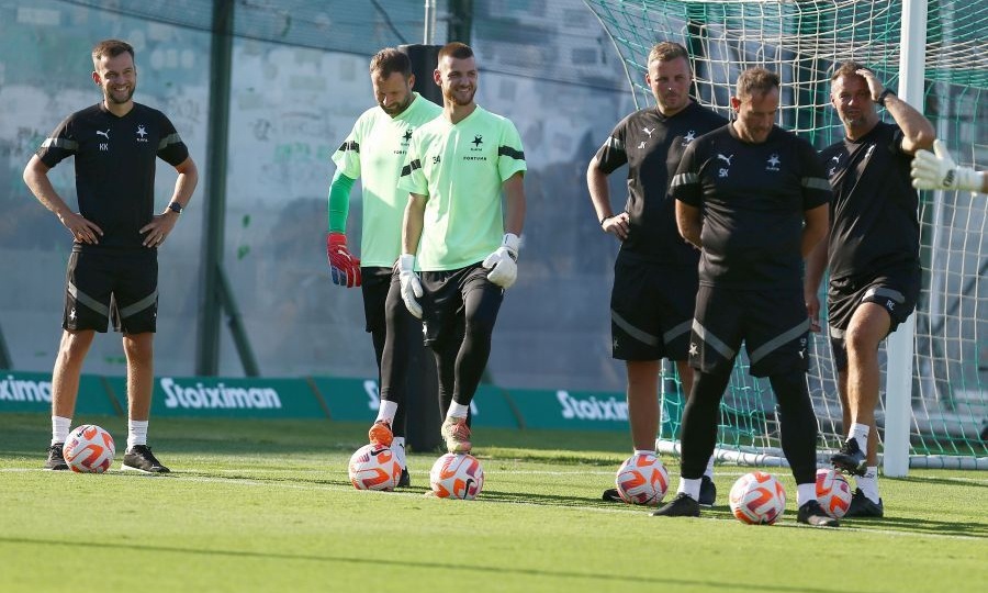 «Πληρωμένη» και... επιστημονική απάντηση στους Τσέχους για το χορτάρι στη Λεωφόρο (photo)