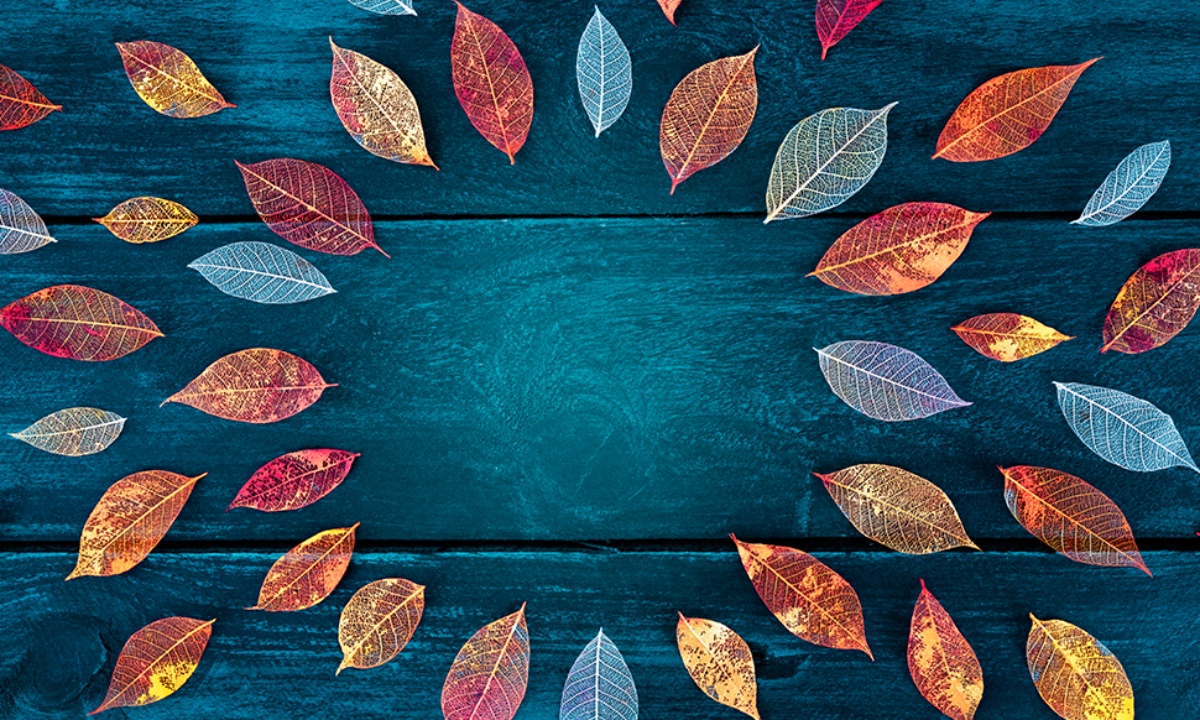 Ημερήσιες Προβλέψεις για όλα τα Ζώδια, 11/10