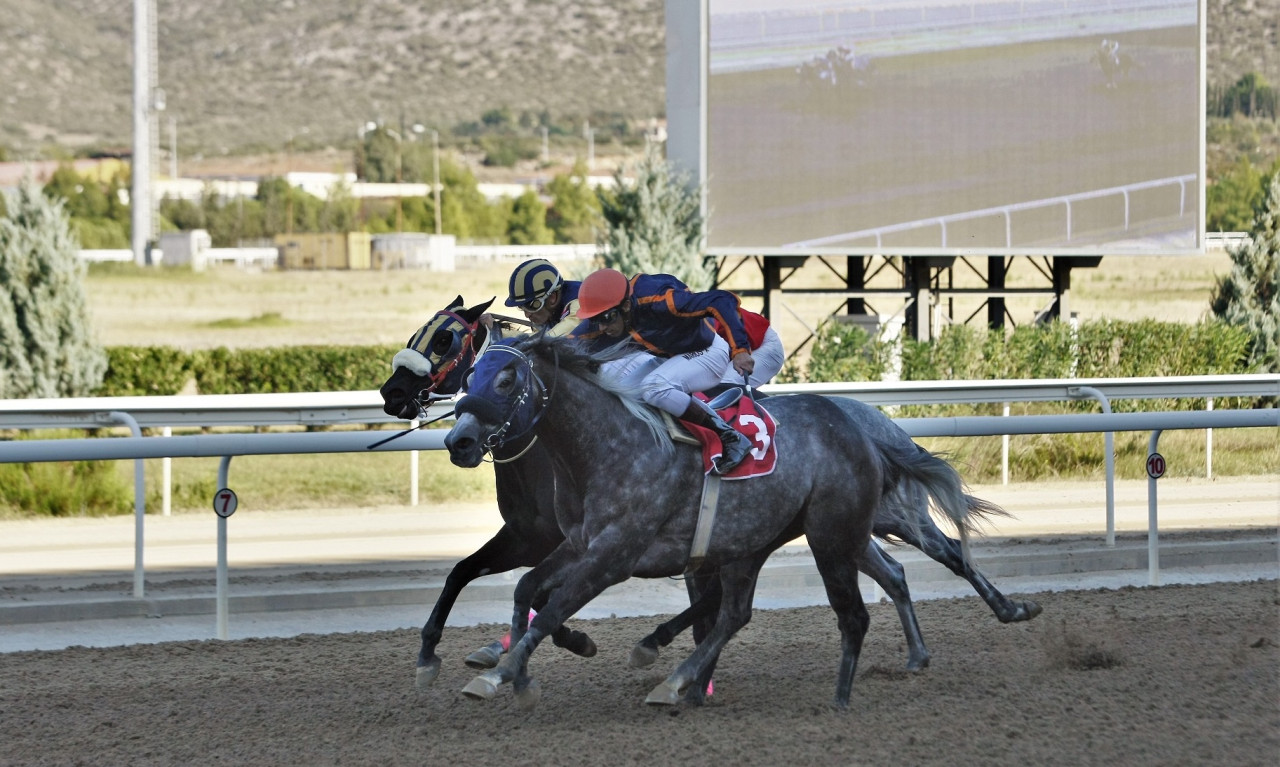Markopoulo Park: Τρία ΣΚΟΡ και πέντε ελληνικές ιπποδρομίες τη Δευτέρα