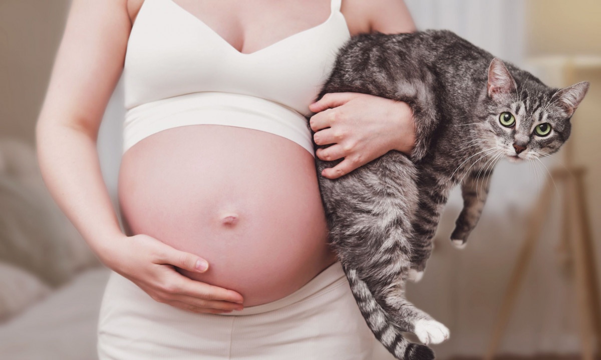 Κατοικίδια και τροφικές αλλεργίες στα παιδιά - Τι ισχύει