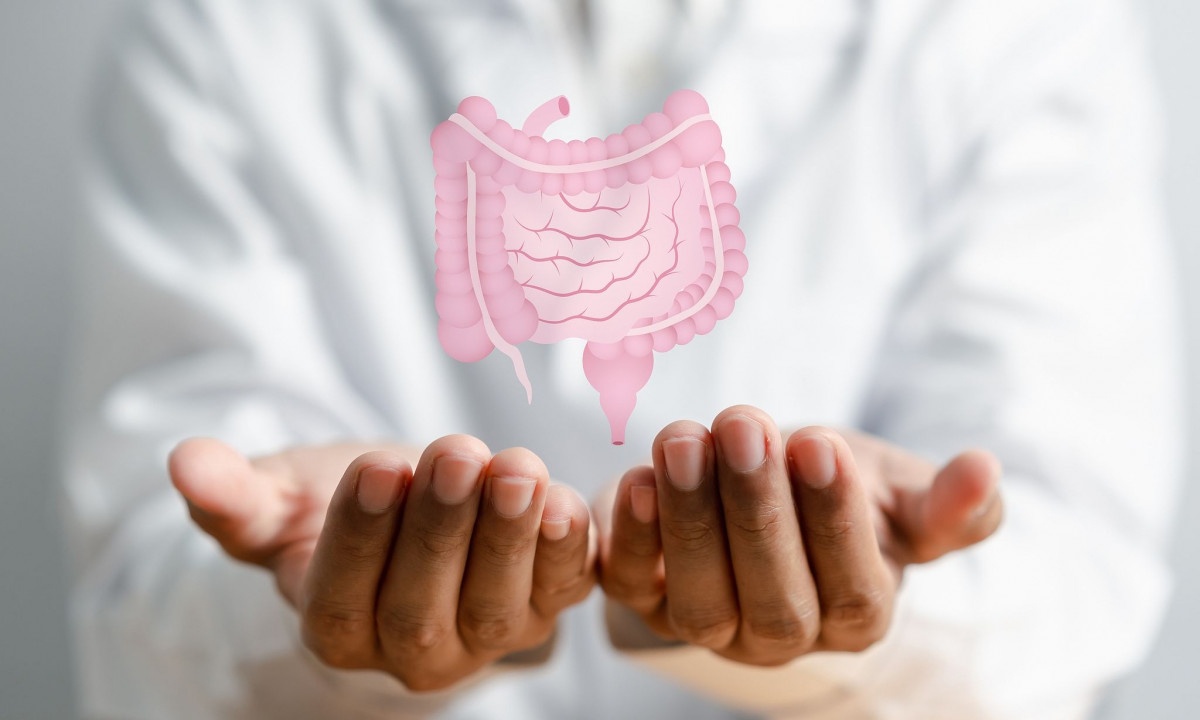 Βακτήρια εντέρου: Πώς συνδέονται με τον κίνδυνο Αλτσχάιμερ