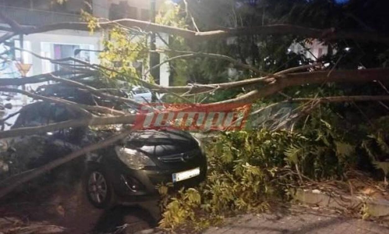 Πάτρα: Δέντρο έπεσε πάνω σε γυναίκα ενώ περίμενε να πάρει το παιδί της από το φροντιστήριο