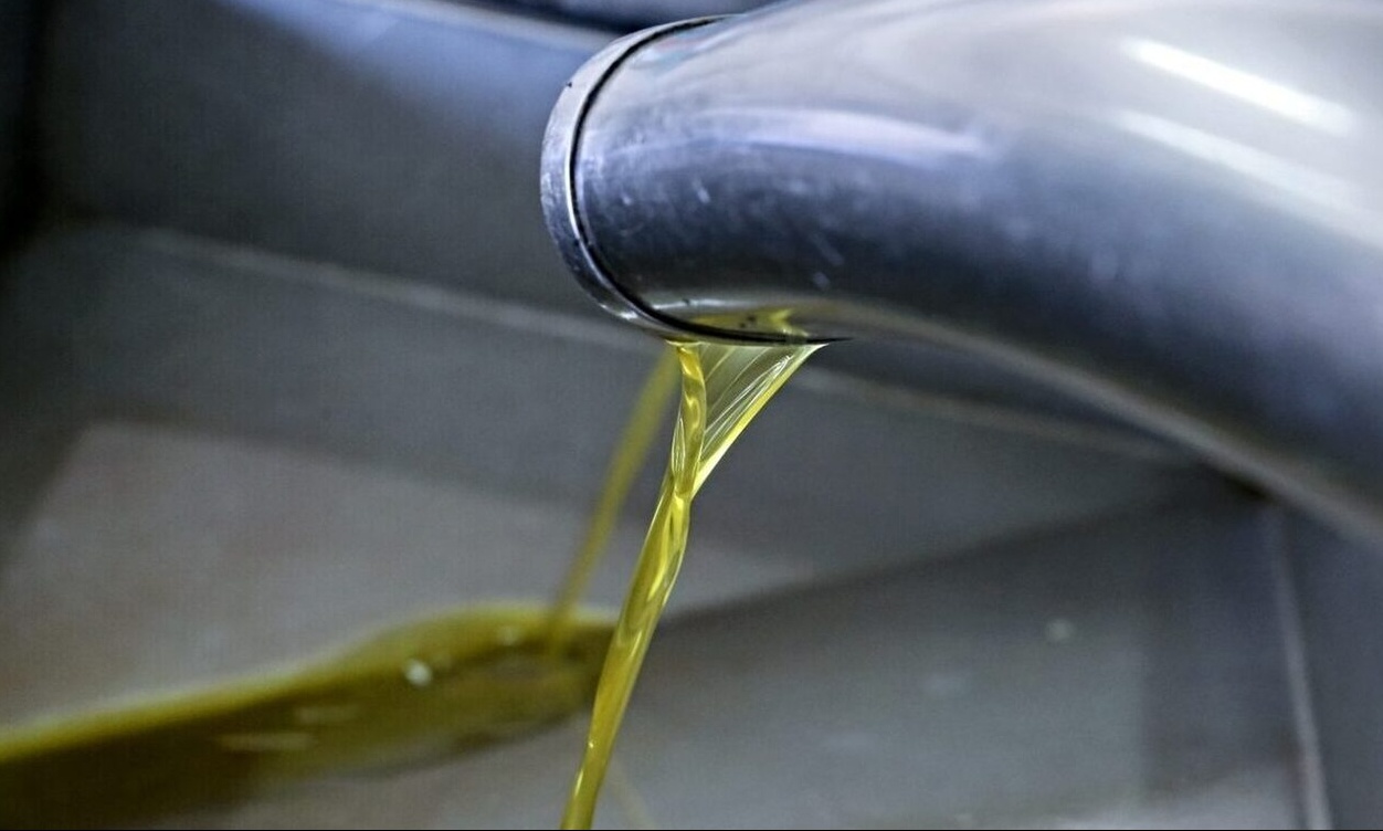 Ελαιόλαδο: Γέμισε με νοθευμένο «ελληνικό» η αγορά στη Βουλγαρία - Ανησυχία για τους κλέφτες ελιών