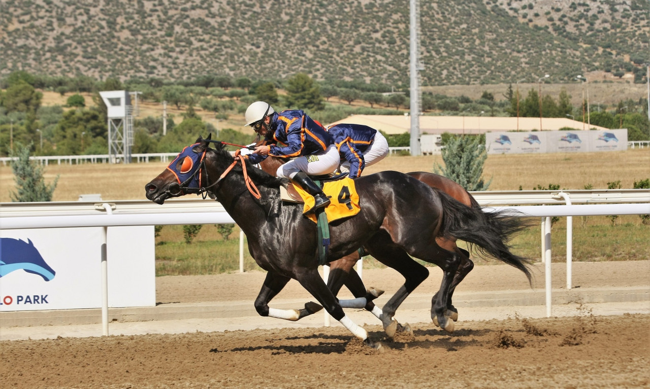Πέντε ελληνικές κούρσες τη Δευτέρα στο Markopoulo Park