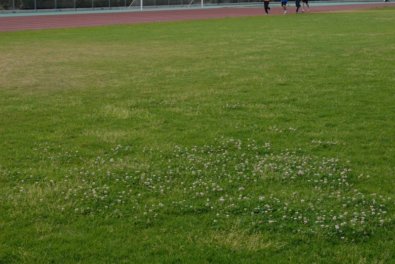 «Εγκαταλείφθηκε το Πανθεσσαλικό»