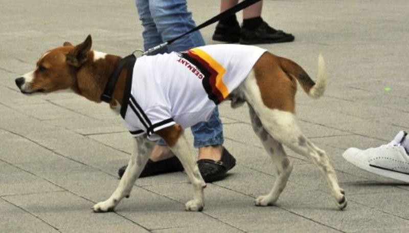 Όλοι… Βερολίνο