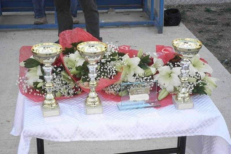 Πρωτιά για Καρδίτσα