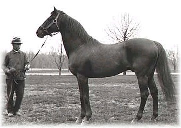 Man o’ War: Ο θρύλος του ιπποδρόμου! (videos+photos)