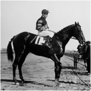 Man o’ War: Ο θρύλος του ιπποδρόμου! (videos+photos)