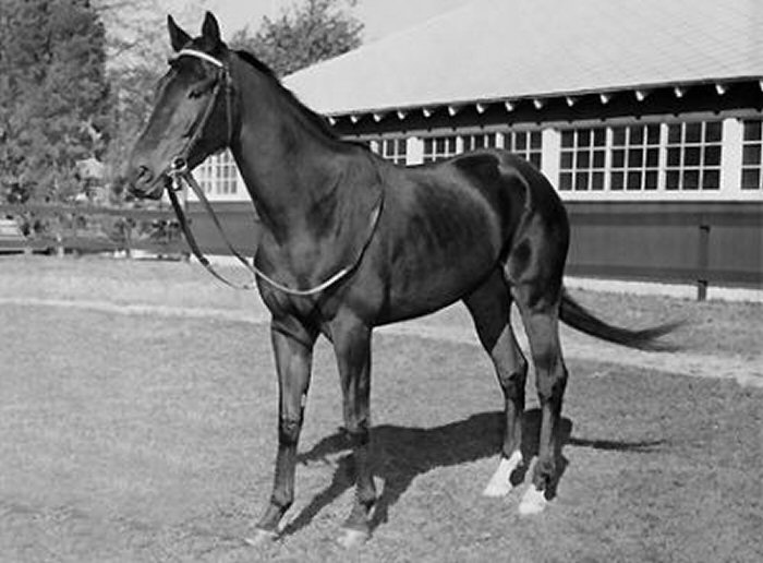 Man o’ War: Ο θρύλος του ιπποδρόμου! (videos+photos)