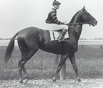 Man o’ War: Ο θρύλος του ιπποδρόμου! (videos+photos)