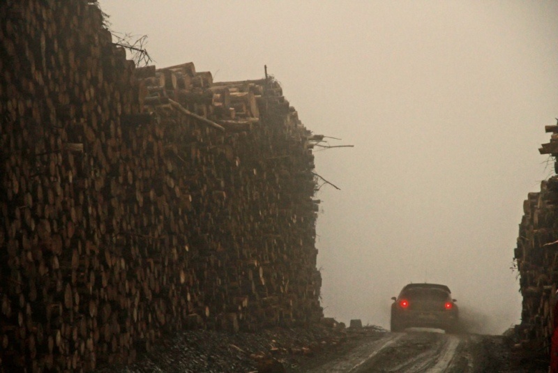 WRC Βρετανίας: Ο Λάτβαλα μπροστά, ο Λεμπ πρωταθλητής