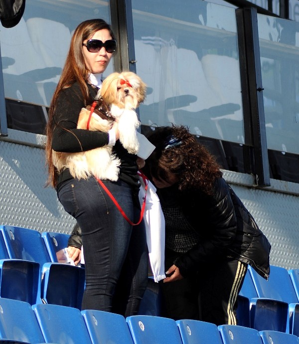 Ζωντανός στο παρά... δύο ο ΠΑΣ στη Λιβαδειά (photos)