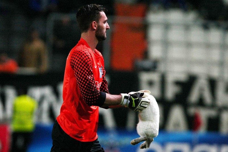 Ο Κλέιτον χόρεψε… σάμπα τον ΟΦΗ, 1-0 ο ΠΑΟ στην Κρήτη (photos+videos)