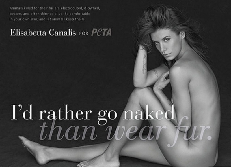 H Κλοέ Καρντάσιαν παραιτείται από την Peta επειδή αλεύρωσαν την αδερφή της!
