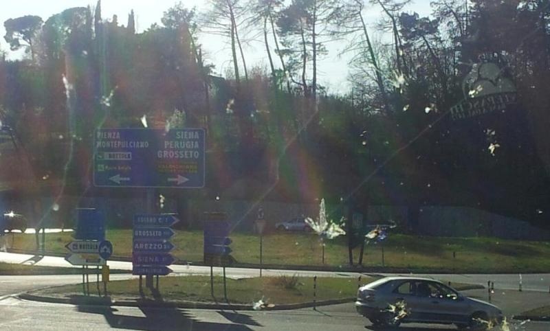 Στο πλευρό της Σιένα οι φίλαθλοι (photos)