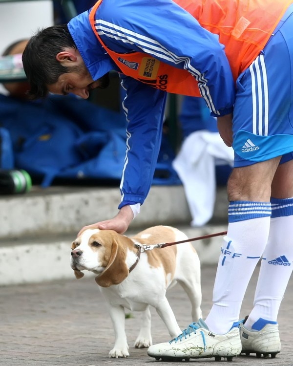 Euro 2012: Σαλπιγγίδης αντί Νίνη με Αρμενία (photos+videos)