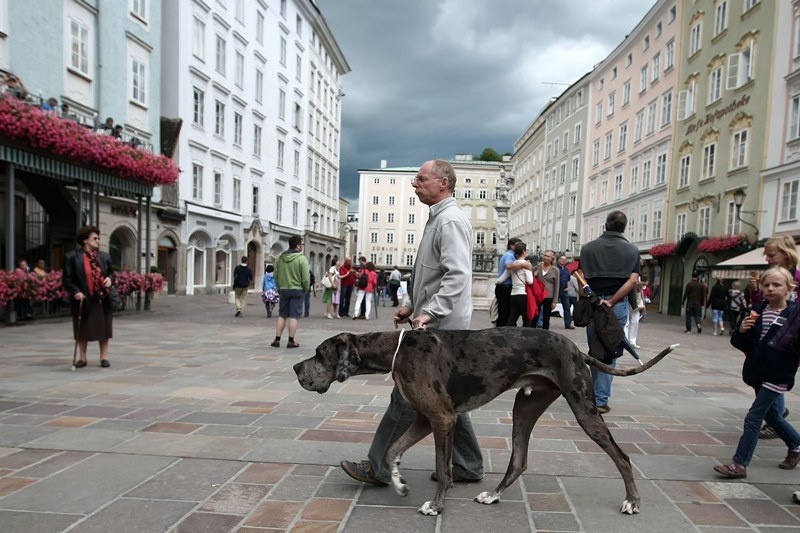 Βόλτα παικτών και Αλαφούζου στο Σάλτσμπουργκ