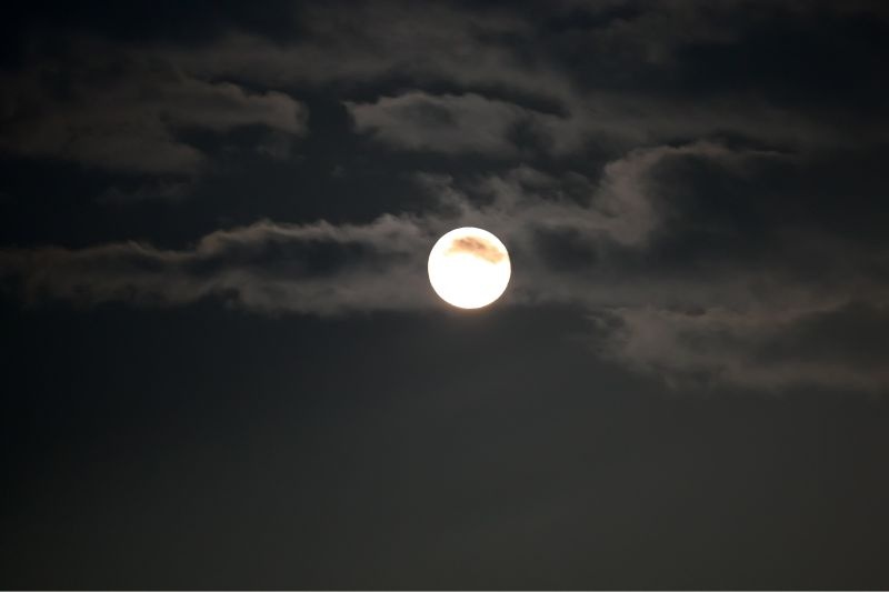 Κύπελλο: Το photostory του αγώνα Λεβαδειακός-Πιερικός