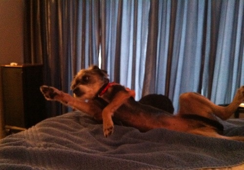 Τρέλα με Κουρτουά (photos)