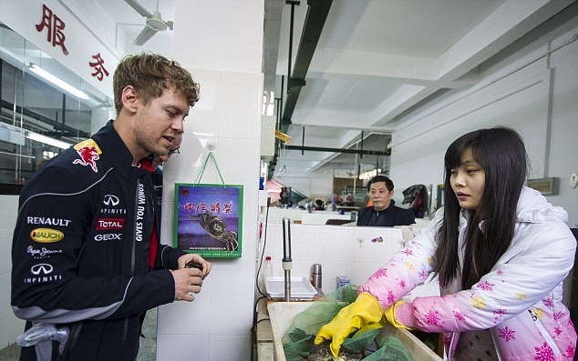 Ρεντ Μπουλ: Τι… μαγειρεύει στην Κίνα ο Φέτελ; (photos)