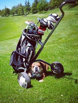 Μερσέντες: Για τζετ σκι με το μπουλντόγκ του ο Χάμιλτον! (photos)