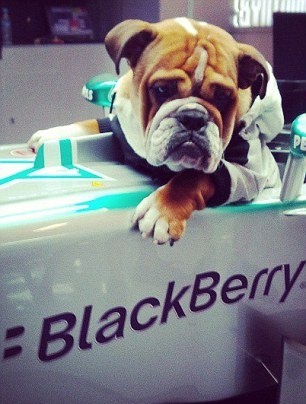 Μερσέντες: Για τζετ σκι με το μπουλντόγκ του ο Χάμιλτον! (photos)