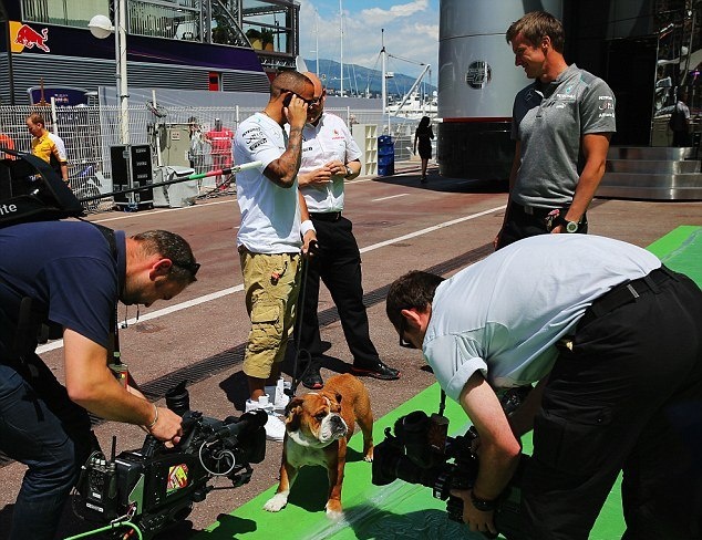 Μερσέντες: Για τζετ σκι με το μπουλντόγκ του ο Χάμιλτον! (photos)