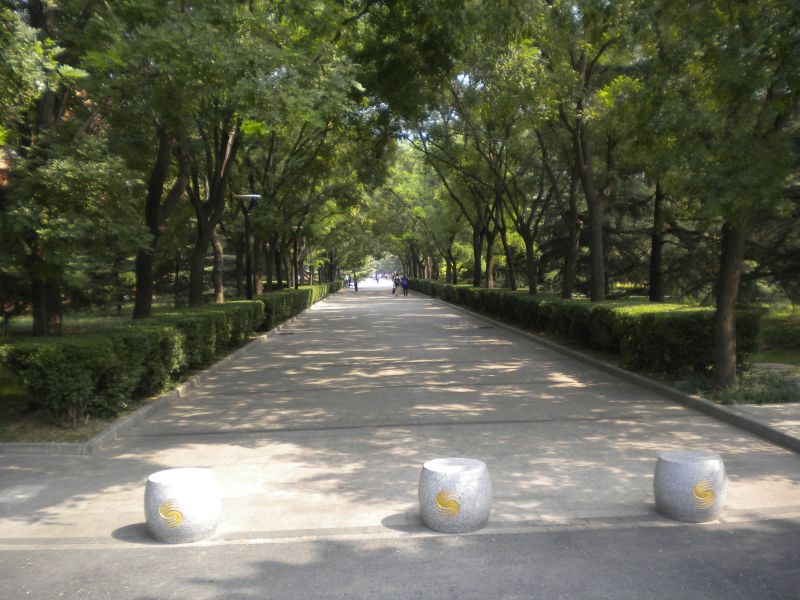 Παναθηναϊκός: Η τελευταία προπόνηση στο Πεκίνο (videos+photos)