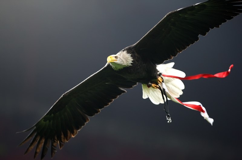 Ολυμπιακός: Το photostory της ισοπαλίας στην Πορτογαλία (photos)
