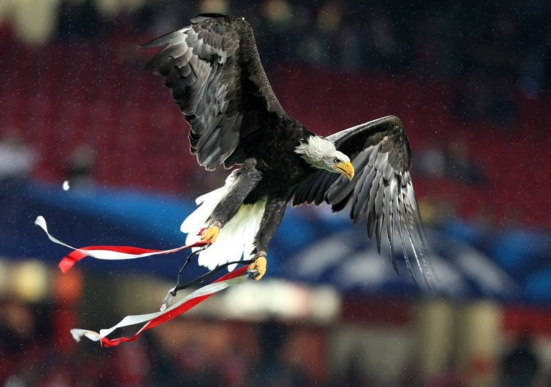 Ολυμπιακός: Το photostory της ισοπαλίας στην Πορτογαλία (photos)