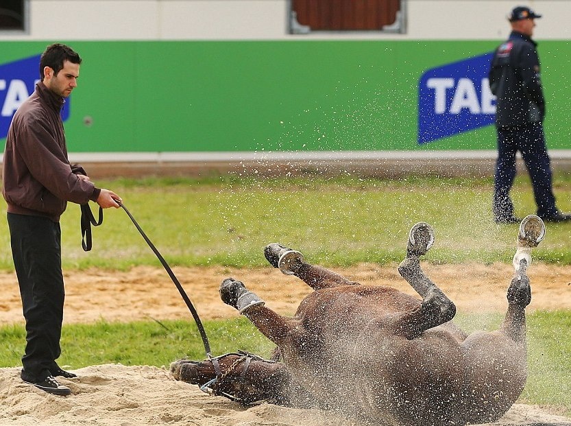 Ο χοντρός φίλαθλος που τα… πέταξε έξω και η… τούμπα του αλόγου (photos)