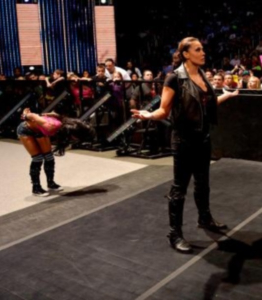 SmackDown: «Δύναμη» οι Wyatt Family (photos+videos)