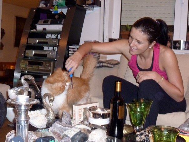 Toffee, ο πιο διάσημος... πράσινος γάτος στη Ελλάδα (photos)