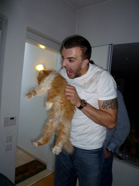 Toffee, ο πιο διάσημος... πράσινος γάτος στη Ελλάδα (photos)