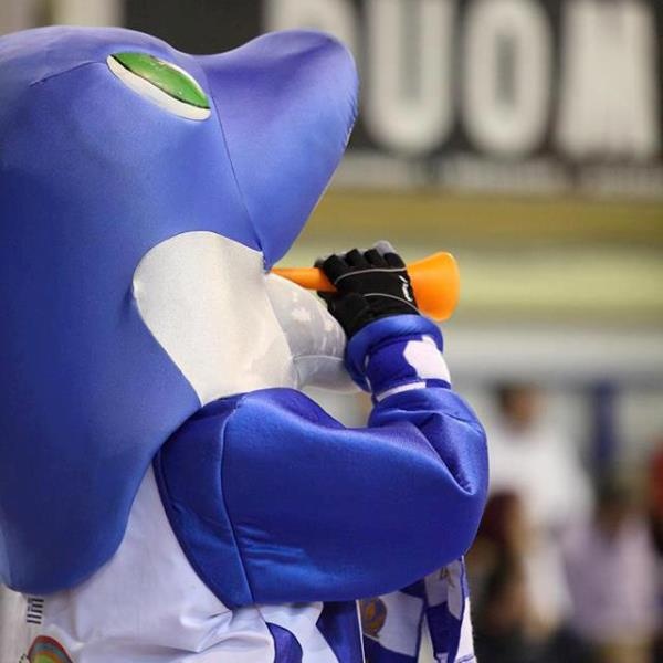 Ρέθυμνο: Τρελός… Αγορίνος! (photos)