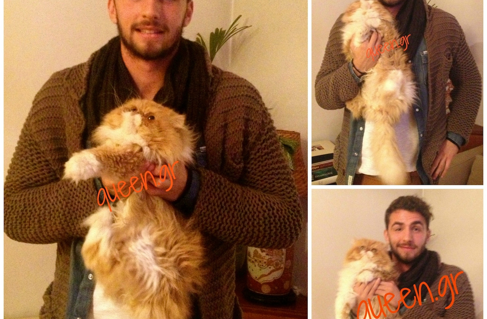 Toffee, ο πιο διάσημος... πράσινος γάτος στη Ελλάδα (photos)