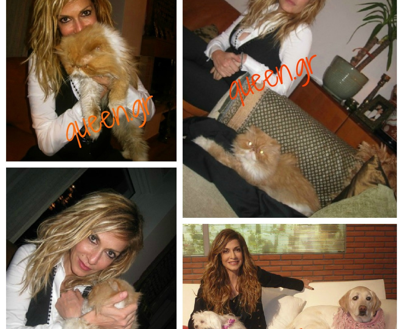 Toffee, ο πιο διάσημος... πράσινος γάτος στη Ελλάδα (photos)