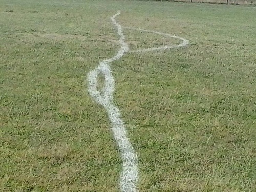 Ρουμανία: Το χειρότερο γήπεδο όλων των εποχών (photos)