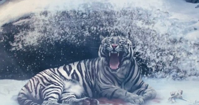 Ζλάταν Ιμπραΐμοβιτς: Νικά φωτιά, πάγο, κεραυνό και τίγρη! (photos+videos)