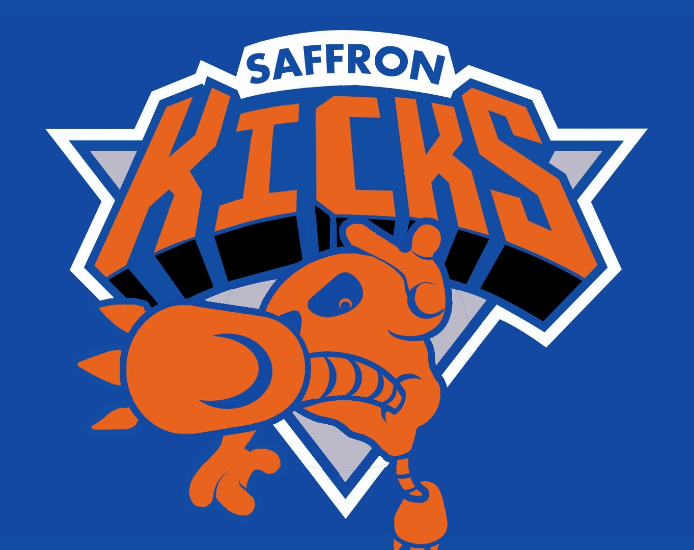 NBA: Αν οι ομάδες ήταν... Πόκεμον! (photos)