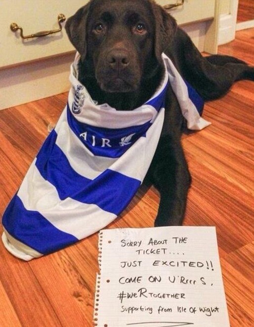 ΚΠΡ: Σκύλος έφαγε τα εισιτήρια οπαδού (photos)