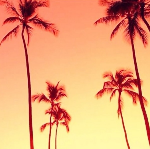 Παγκόσμιο Κύπελλο Ποδοσφαίρου - Ημιτελικοί: Η σέξι κυρία Σνάιντερ και ο... Τεν Κάτε (photos)