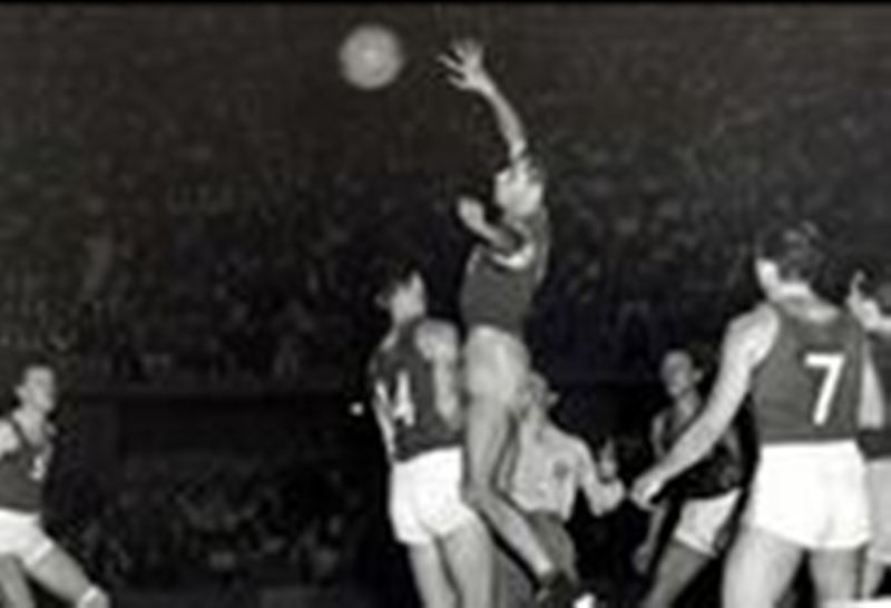 Mundobasket 2014: Ο θρίαμβος της εργατιάς (photos)