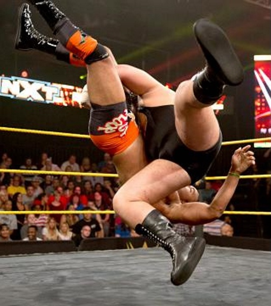 NXT: Αποφασιστικός… William Regal (photos+videos)
