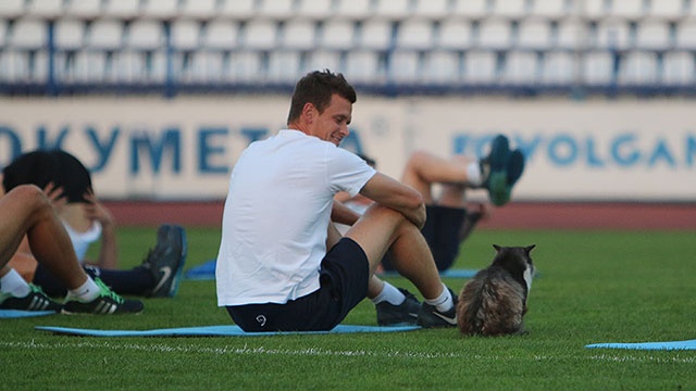 Ρωσία: Η ημέρα μιας... γάτας στο γήπεδο (photos)