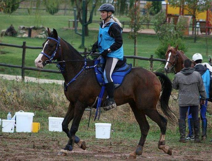 Ιππασία: Χαμός στην εκκίνηση του «Endu Race 2014» (photos)