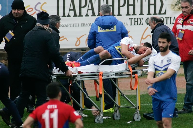 Λαμία: «Πάγωσαν» με Αρκούδα (photos)