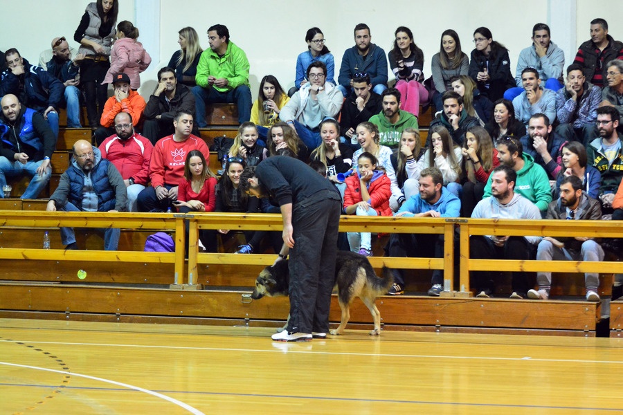 ΕΣΚΑΚ: Σκύλος διέκοψε αγώνα (photos)