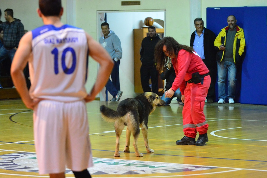 ΕΣΚΑΚ: Σκύλος διέκοψε αγώνα (photos)